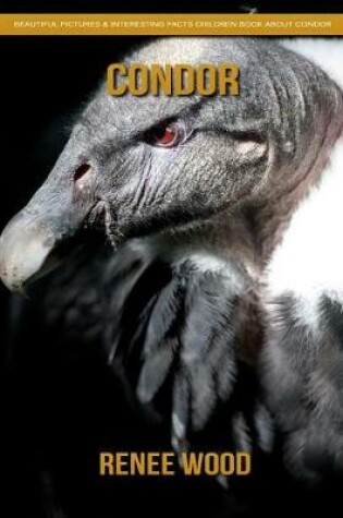 Cover of Condor