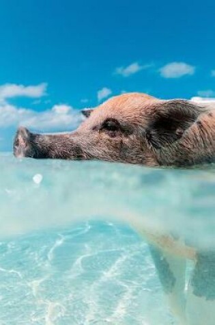 Cover of Swimming Caribbean Pig