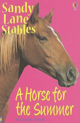 Book cover for A Horse for the Summer