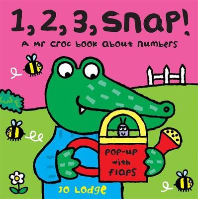 Book cover for Mr Croc Board Book: 1, 2, 3 Snap