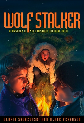 Book cover for Mysteries in Our National Parks: Wolf Stalker
