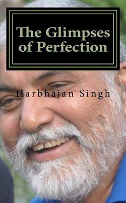 Book cover for The Glimpses of Perfection