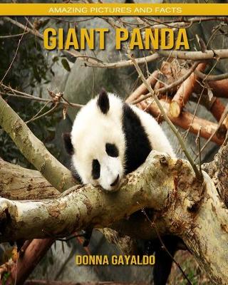 Book cover for Giant panda