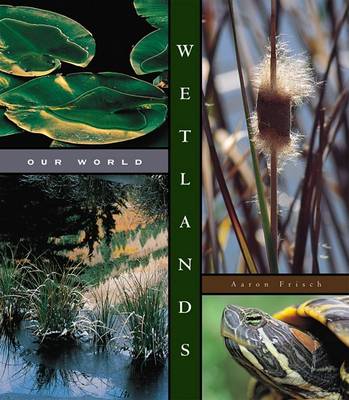 Book cover for Wetlands