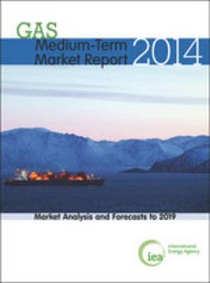 Book cover for Medium-Term Gas Market Report 2014