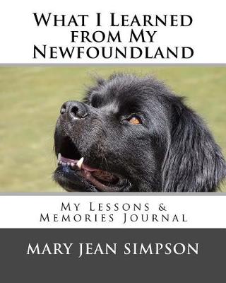 Book cover for What I Learned from My Newfoundland