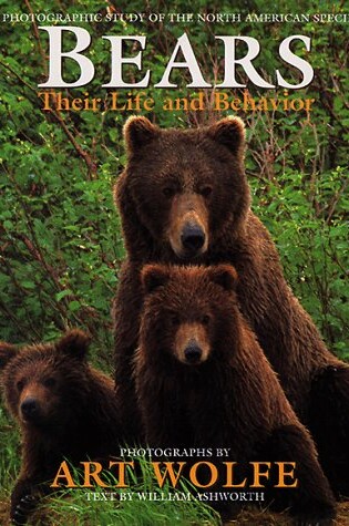 Cover of Bears: Their Life & Behavior