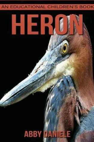 Cover of Heron! An Educational Children's Book about Heron with Fun Facts & Photos