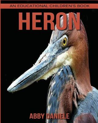 Book cover for Heron! An Educational Children's Book about Heron with Fun Facts & Photos