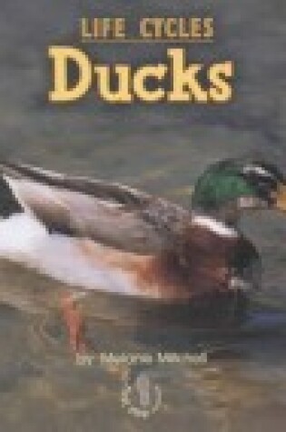 Cover of Ducks