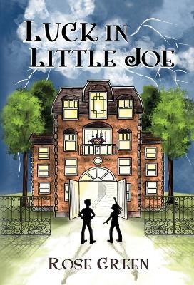 Book cover for Luck in Little Joe