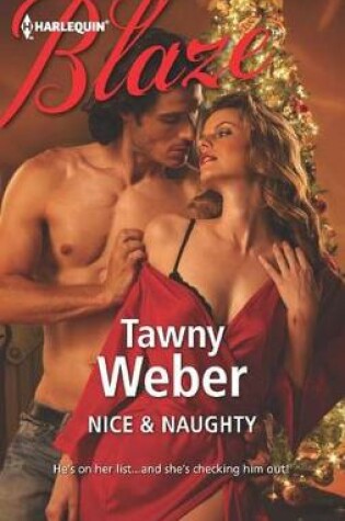 Cover of Nice & Naughty