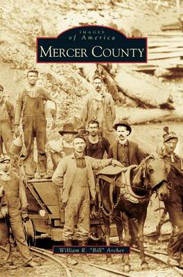 Book cover for Mercer County