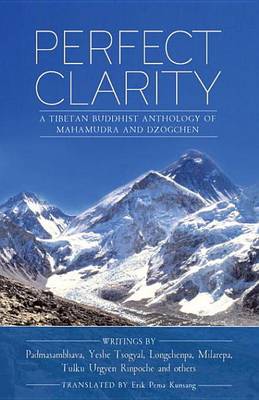 Book cover for Perfect Clarity