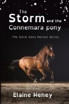 Book cover for The Storm and the Connemara Pony - Dyslexia Friendly