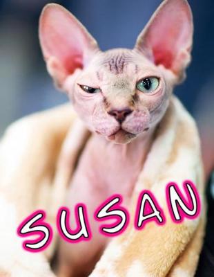 Book cover for Susan