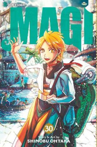 Cover of Magi: The Labyrinth of Magic, Vol. 30