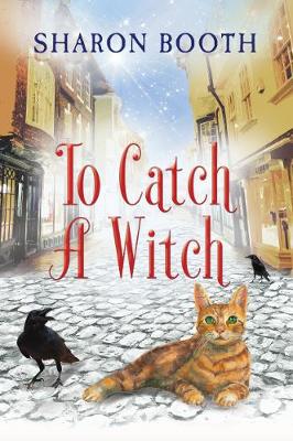 Book cover for To Catch a Witch