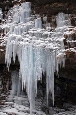 Book cover for The Frozen Waterfall Journal