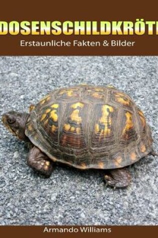 Cover of Dosenschildkroete