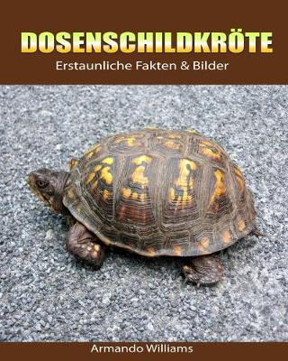 Book cover for Dosenschildkroete