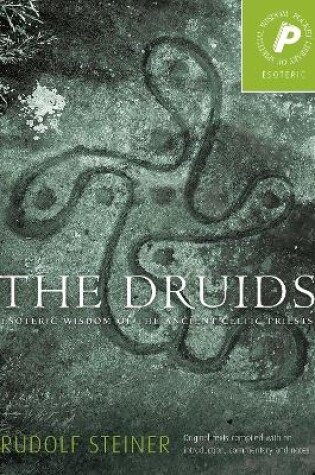 Cover of The Druids, The