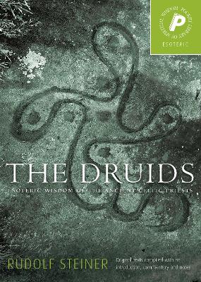 Cover of The Druids, The