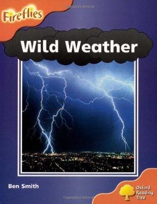 Book cover for Level 6: Wild Weather