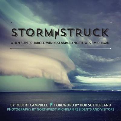 Book cover for Storm Struck