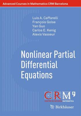 Cover of Nonlinear Partial Differential Equations