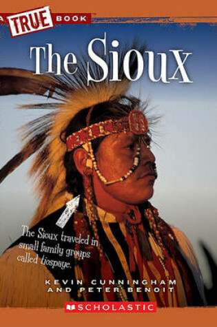 Cover of The Sioux