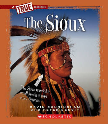 Book cover for The Sioux