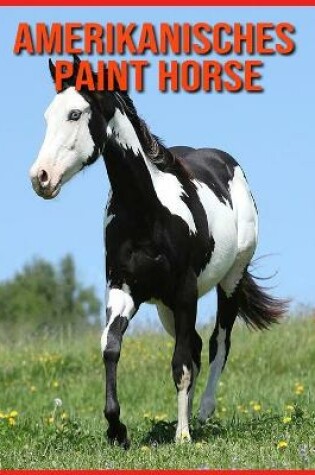 Cover of Amerikanisches Paint Horse