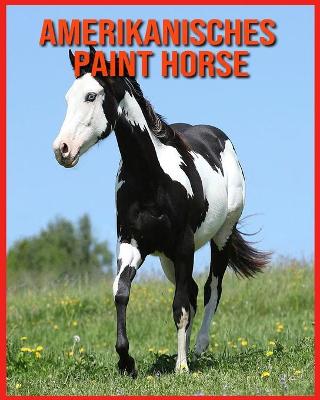 Book cover for Amerikanisches Paint Horse