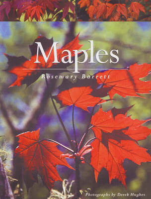 Book cover for Maples