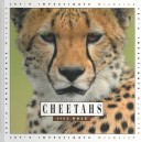 Cover of Cheetahs