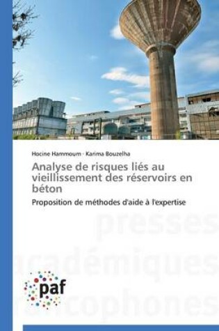 Cover of Analyse de Risques Lies Au Vieillissement Des Reservoirs En Beton