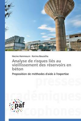 Book cover for Analyse de Risques Lies Au Vieillissement Des Reservoirs En Beton