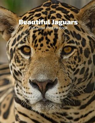 Book cover for Beautiful Jaguars Full-Color Picture Book