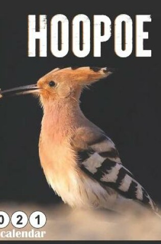 Cover of Hoopoe 2021 Wall calendar