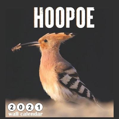 Book cover for Hoopoe 2021 Wall calendar