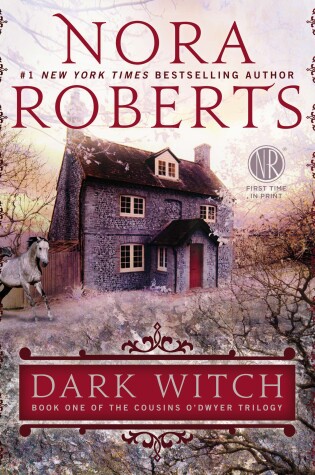 Cover of Dark Witch