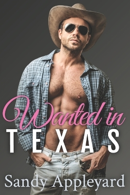 Book cover for Wanted in Texas