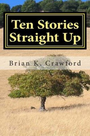 Cover of Ten Stories Straight Up
