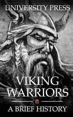 Book cover for Viking Warriors