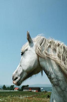 Book cover for Equine Journal Gazing Dappled Grey