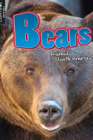 Cover of Bears