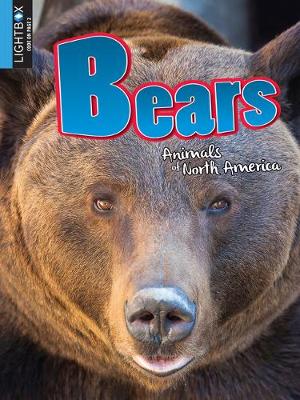 Cover of Bears