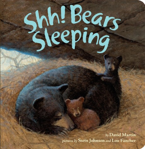 Book cover for Shh! Bears Sleeping