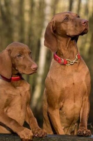 Cover of Two Curious Vizsla Dogs Journal